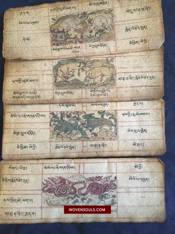 The Year of the Tiger: Celebrating Lunar New Year Values and Community